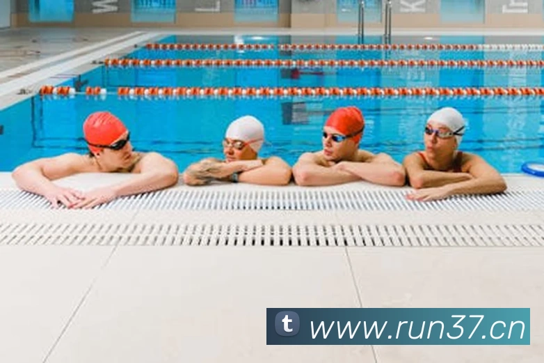 kaiyun体育官方网址平台生态图